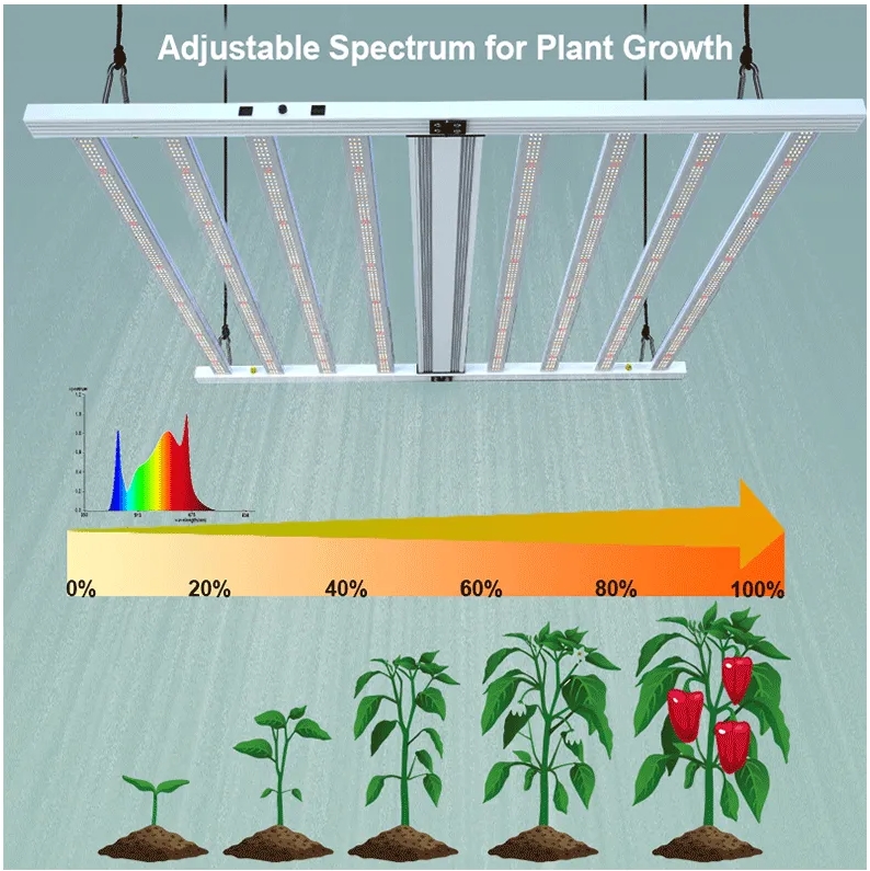   What the role of plant lights in affecting the growth cycle of plants?