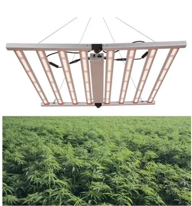 The use of led grow lights