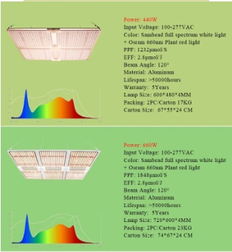 Talking about the application of LED plant lights in cultivation