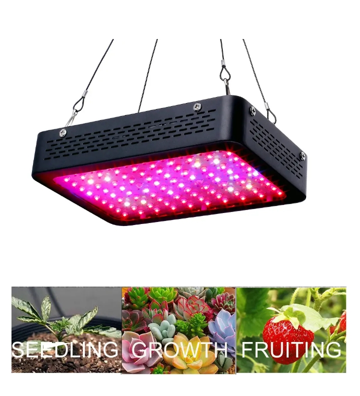 <strong>The relationship between LED grow lights and temperature</strong>